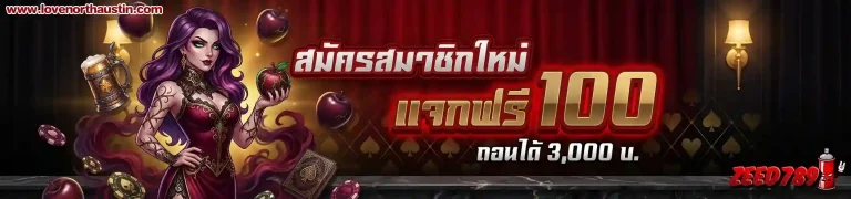 โปรโมชั่น zeed 789